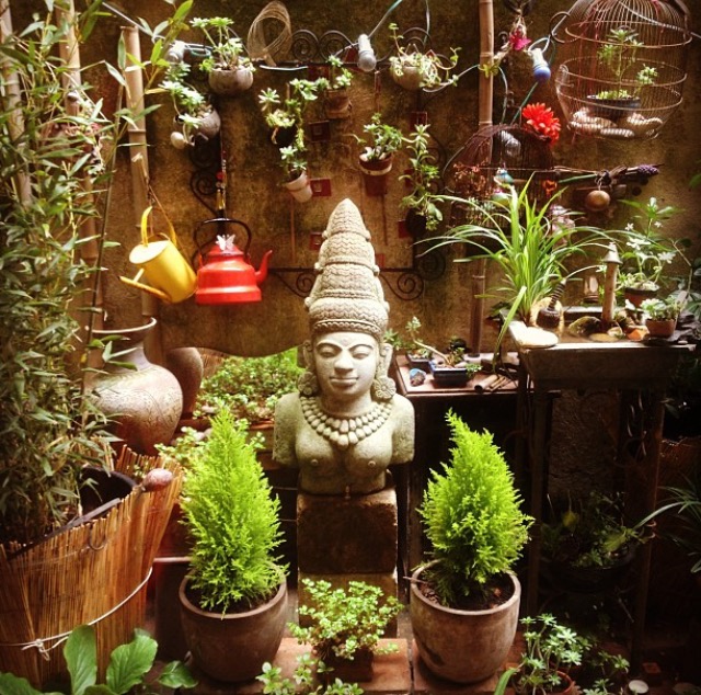 jardin-cabinet-naturopathie